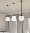 TOLOMEO