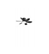 VENTILATORE WIND